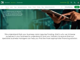Nedbank Business loan